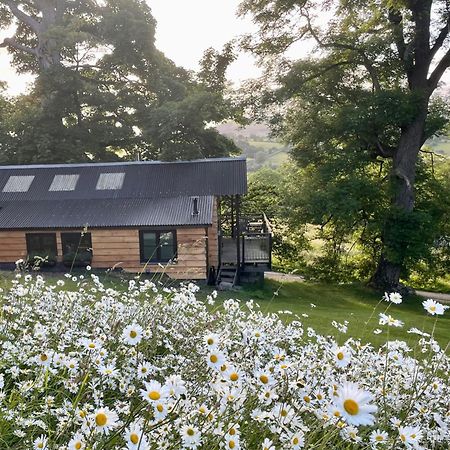 فيلا Faraway Follies Llandegla المظهر الخارجي الصورة