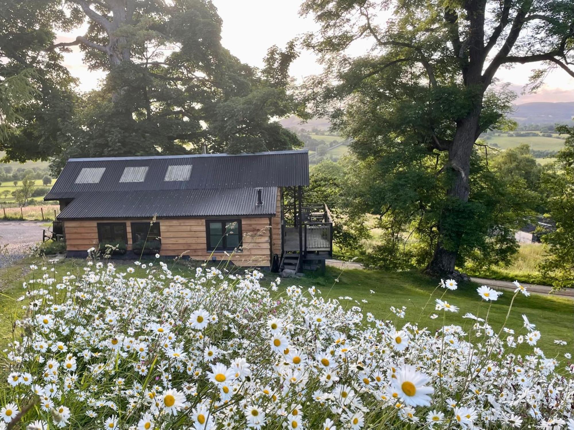 فيلا Faraway Follies Llandegla المظهر الخارجي الصورة